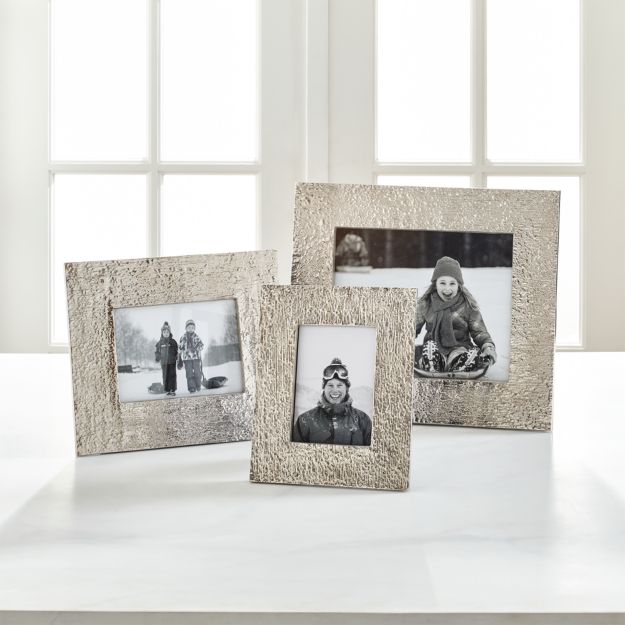 Silver Bark Picture Frames Crate and Barrel