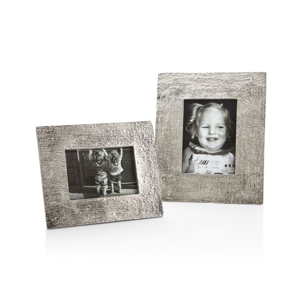 Silver Bark Picture Frames Crate and Barrel