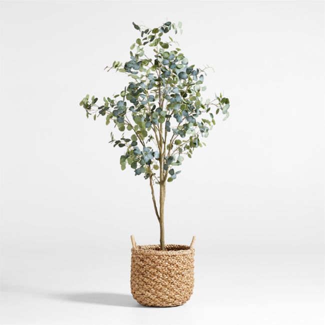 Online Designer Combined Living/Dining Faux Silver Dollar Eucalyptus Tree 8'