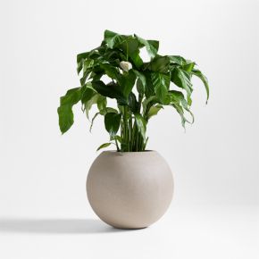Sphere Large Sand Indoor/Outdoor Planter 26