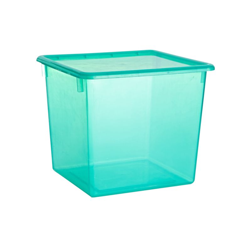 Large Green Plastic Storage Box + Reviews Crate and Barrel
