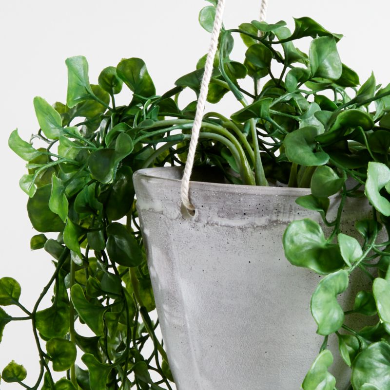 Artificial Trailing Ficus Hanging Plant in Pot + Reviews | Crate and