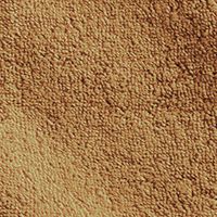 Brulee Brown