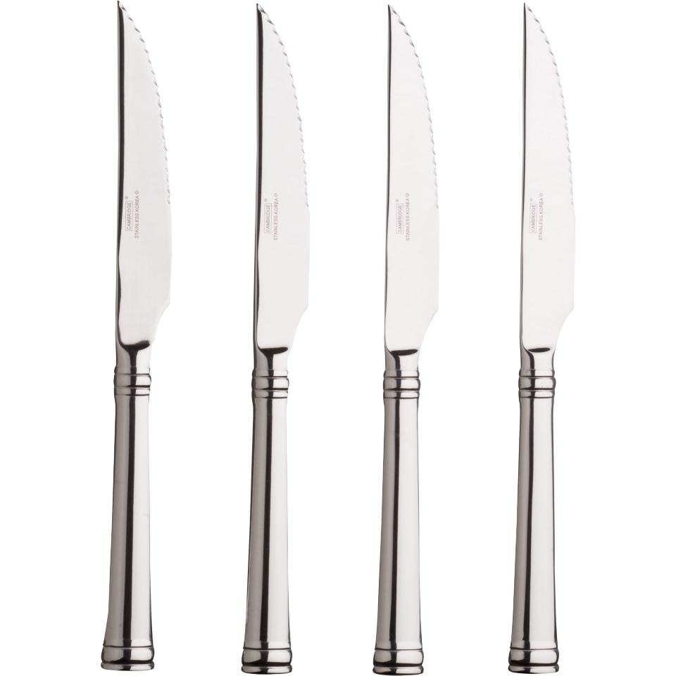 Versatile Stainless Steel Knife  