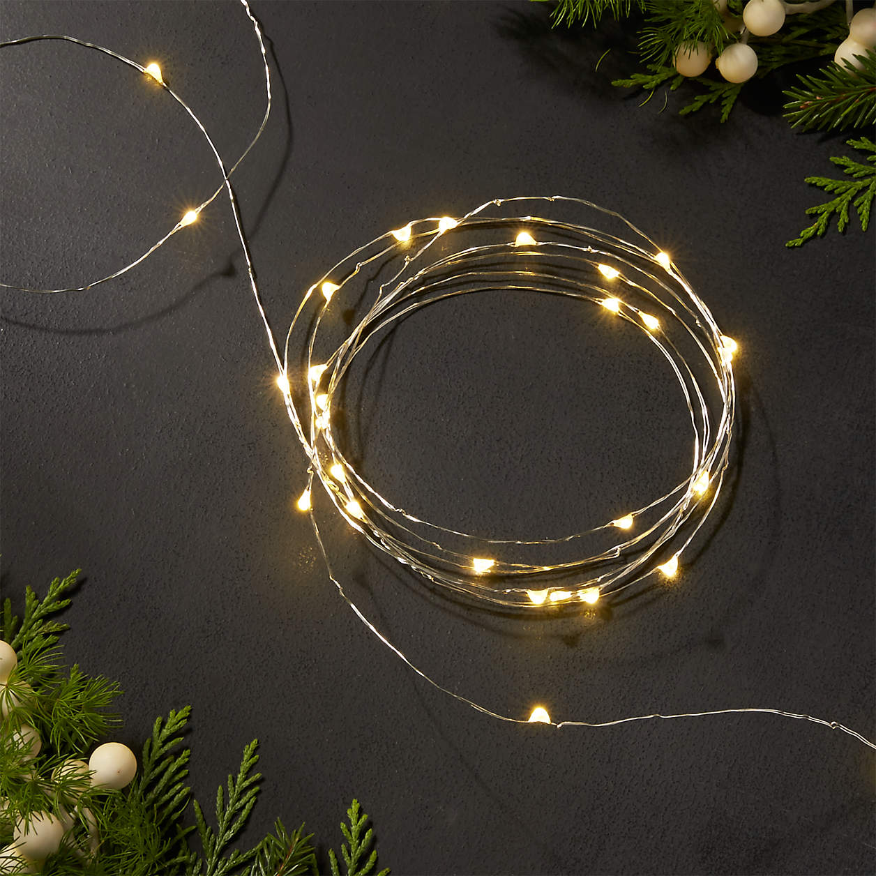 Twinkle Silver 30' String Lights + Reviews Crate and Barrel Canada