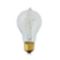 Vintage 25W Filament Light Bulb | Crate and Barrel