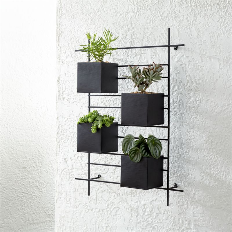 4 Box Wall Mounted Planter + Reviews | Crate and Barrel