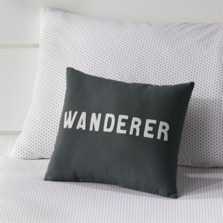 Wanderer Throw Pillow Reviews Crate And Barrel