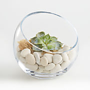 Bowl Fillers Crate And Barrel
