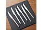 Wüsthof ® 6-Piece Stainless Steel Steak Knife Set