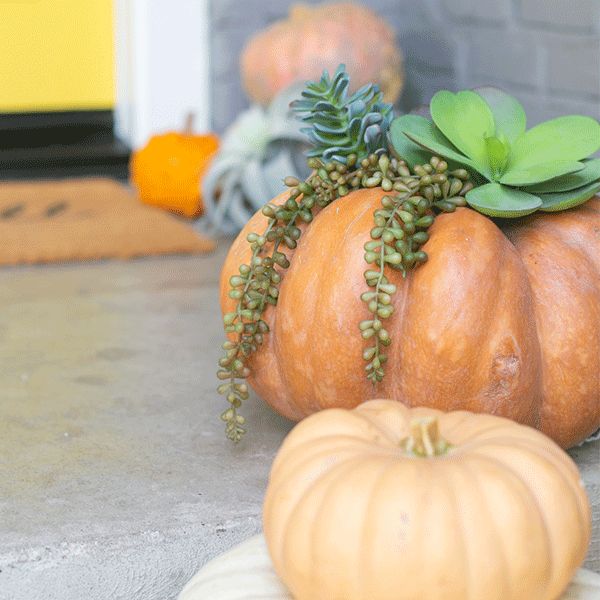 Fall Decorating with Artificial Plants: 3 Ways to Use Faux Botanicals