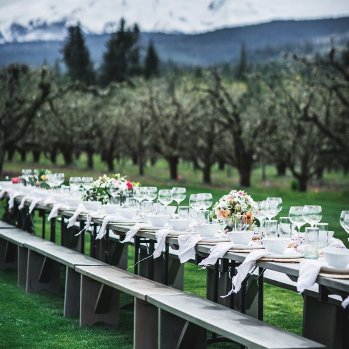 How To Set Table For Dinner Party - Set Table At Dinner Party Stockphoto - Using inexpensive cloth napkins rather than paper ones is an.