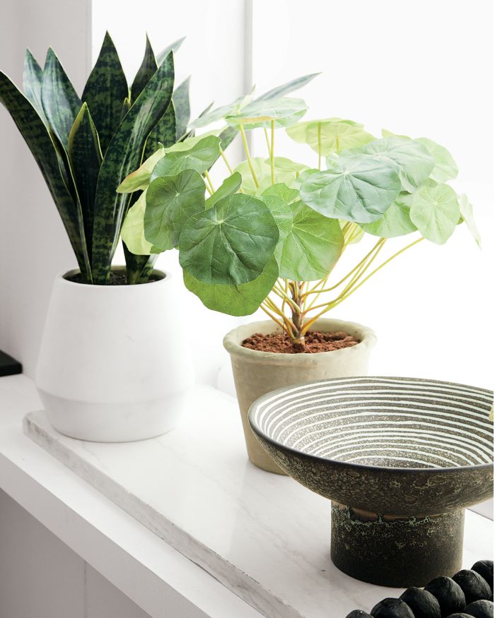 3 Ways These Indoor Plant Ideas Can Change Your Li