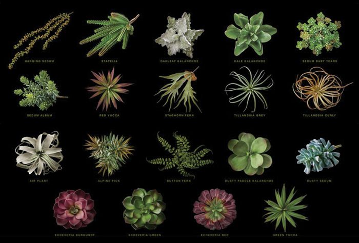 List of faux plants.