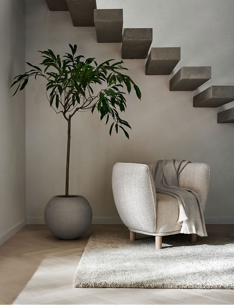 Concrete steps above a white accent chair and tall plant in a grey circular vase