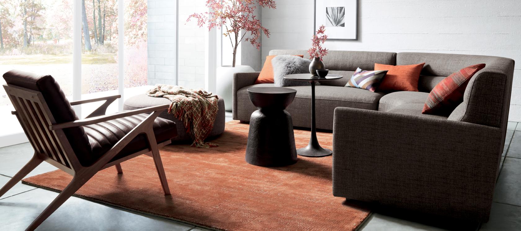 Living Room Rugs and Accent Rugs Crate and Barrel