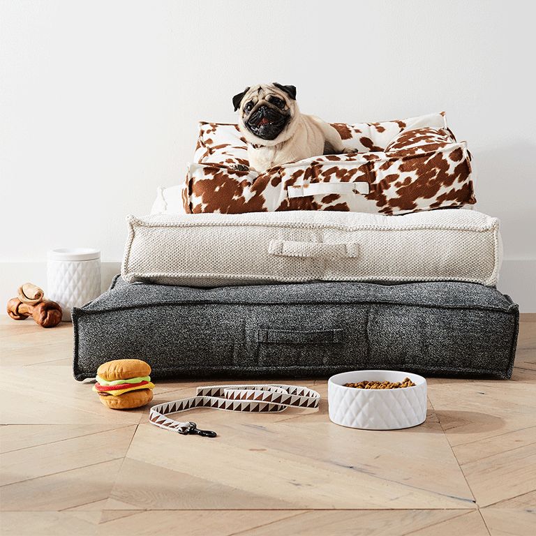 Crate barrel cheap dog bed