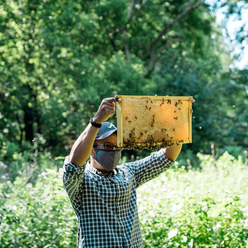 Bee keeper