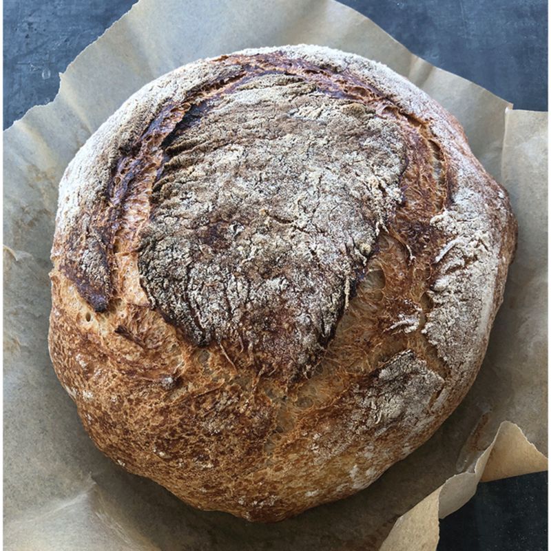 Emilie's Everyday Sourdough (for beginners)