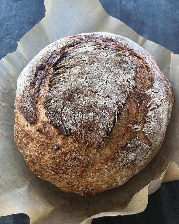 Everyday Sourdough Bread Boule