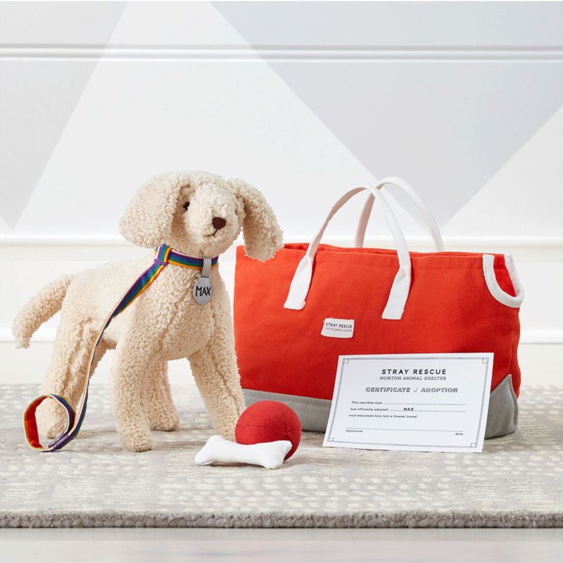 Goldendoodle animal adoption set