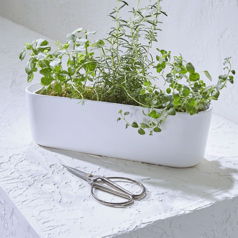 White herb planter