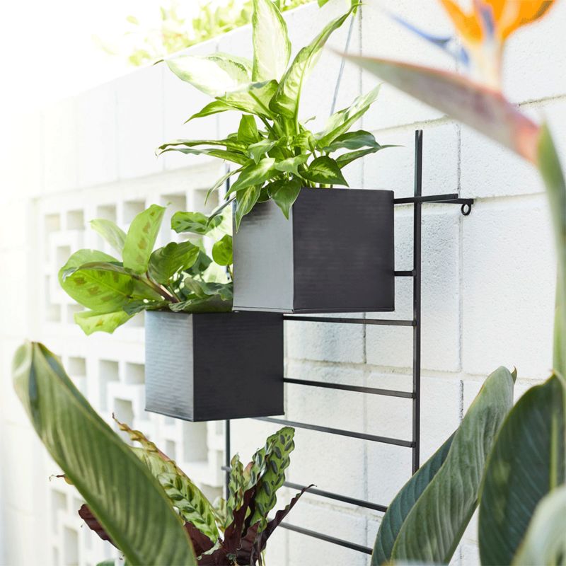 Two wall planters