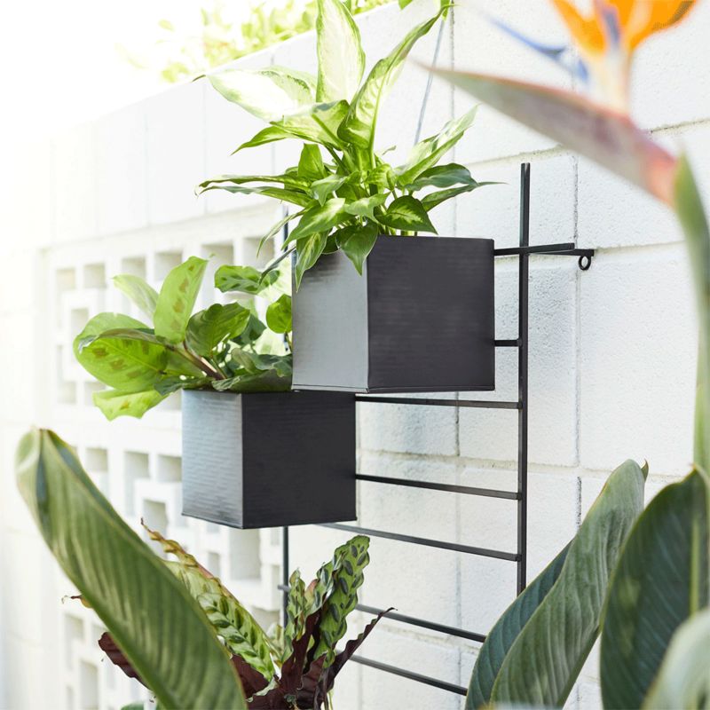 How to Make Container Gardens | Crate and Barrel