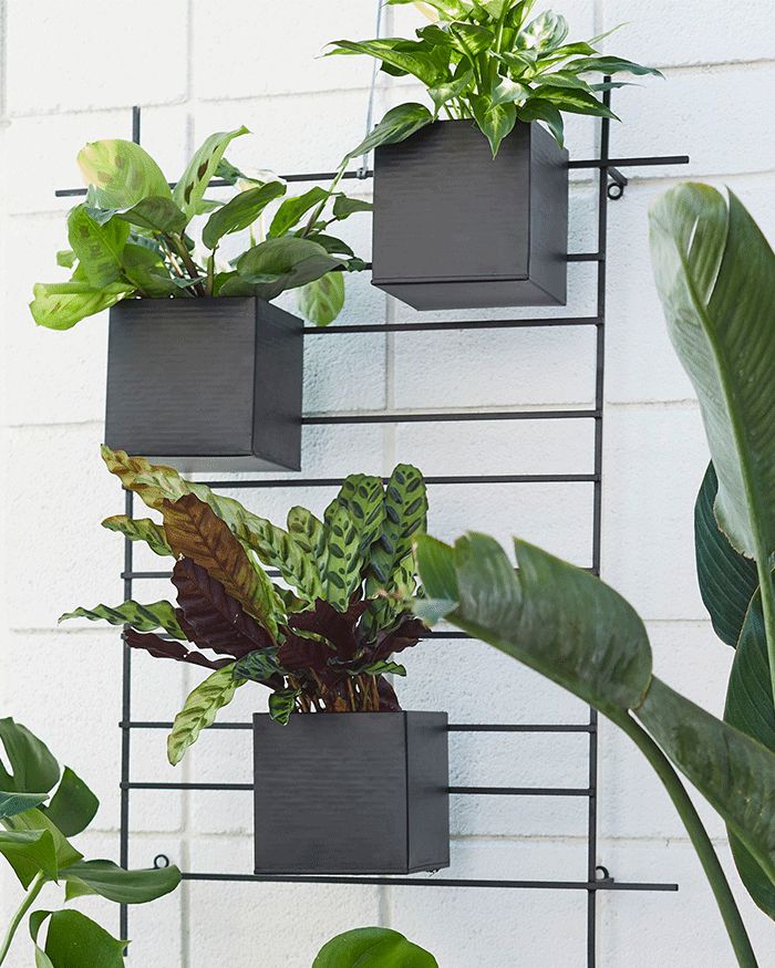 How To Make 3 Types of Container Gardens