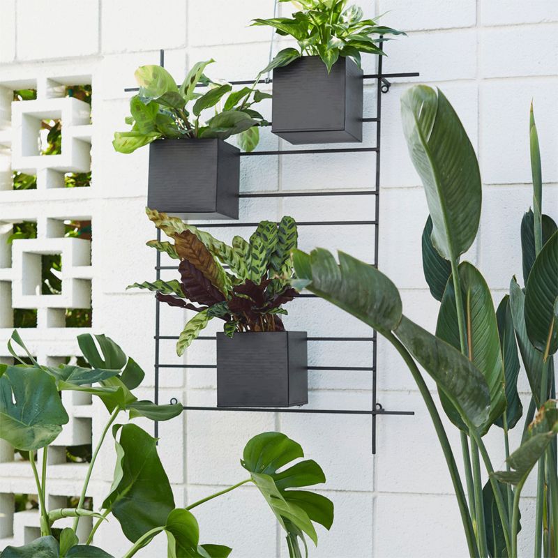 Three wall planters