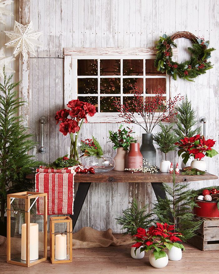 5 DIY Christmas Decor Ideas
