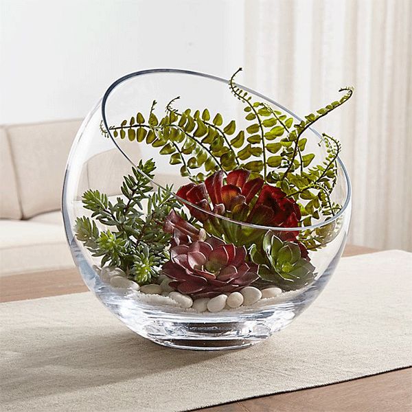 Plant inside slanted glass vessel