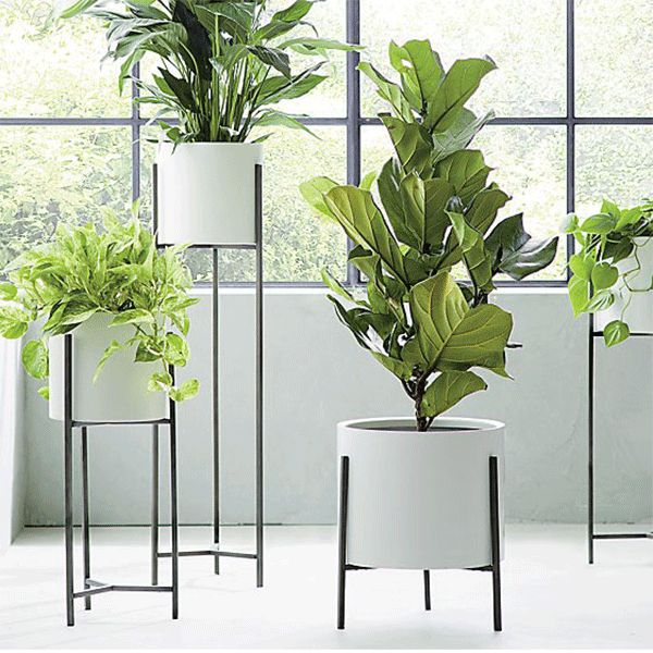 Dundee white floor planters with iron plant stands 
