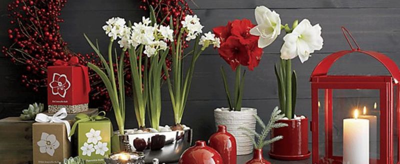 How to Decorate for Chinese New Year – 5 Old Vs. 5 Modern Decorations