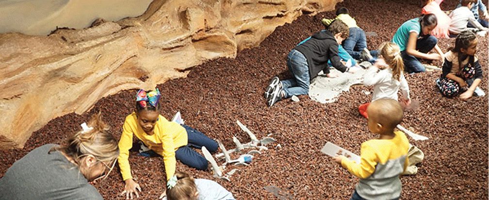 Kids digging for faux dinosaur bones at the Children's museum