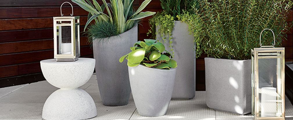 Decorating With Houseplants Crate And Barrel