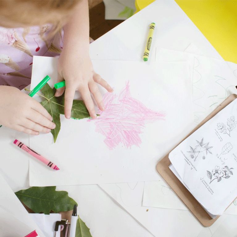 Child tracing leaves onto paper