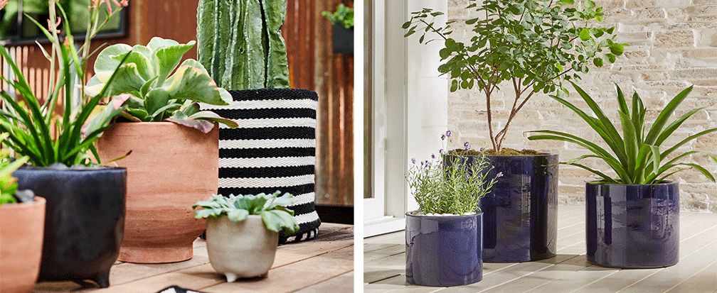 Pergola Decorating Ideas: How to Style a Pergola